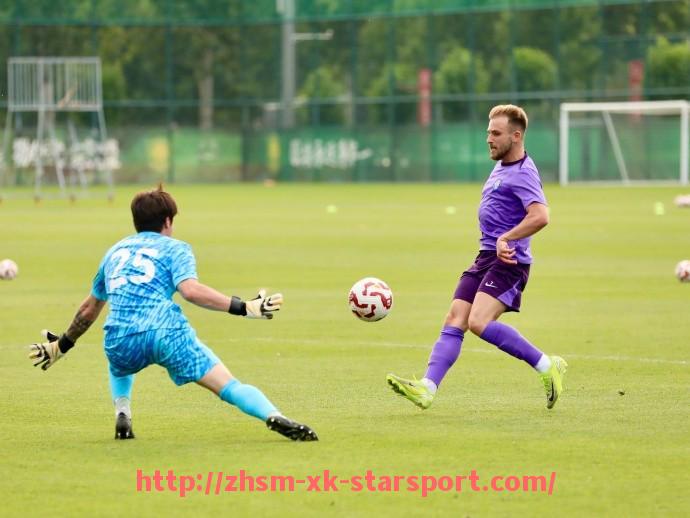 星空体育-CCTV西甲直播观看指南,央视权威直播资源解析