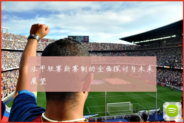 法甲联赛新赛制的全面探讨与未来展望