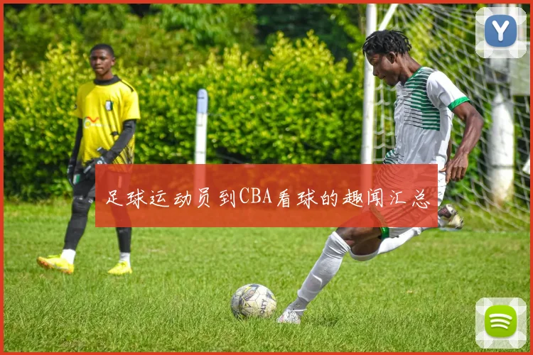 足球运动员到CBA看球的趣闻汇总