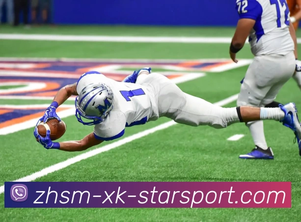 星空体育发展历程